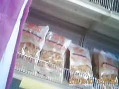 Osioł indyjski ciocia