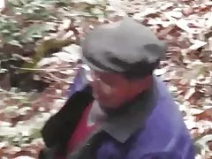 Lasy serii - dziki Las